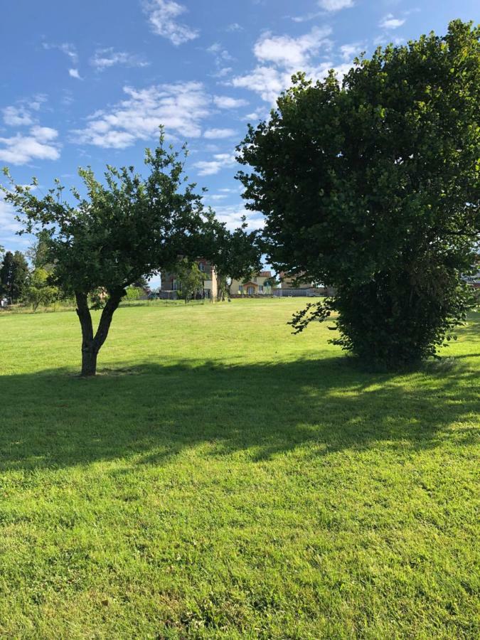 The Walnut Tree Gite Le Dorat Bagian luar foto